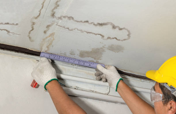 Reliable Sewage Cleanup contractor in Weston, NE by Water Damage Irwin